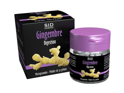 Gingembre digestion